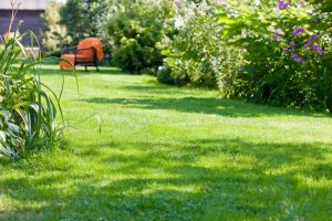 travaux jardin et paysage Mulsans